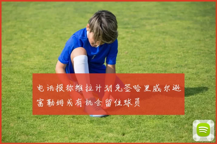 电讯报称维拉计划免签哈里威尔逊富勒姆或有机会留住球员